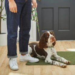 Disney Minnie Mouse Hawaiian Dog Collar & Disney Minnie Mouse Hawaiian Dog Leash -PetSafe Kong Shop 318928 PT7. AC SS1800 V1631139411