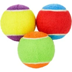 Frisco Fetch Squeaking Colorful Tennis Ball Dog Toy & Project Hive Pet Company Ball Dog Toy -PetSafe Kong Shop 319024 PT1. AC SS1800 V1630550792