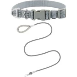 Frisco Outdoor Ultra Reflective Nylon Dog Collar & Frisco Outdoor Ultra Reflective Rope Leash With Padded Handle