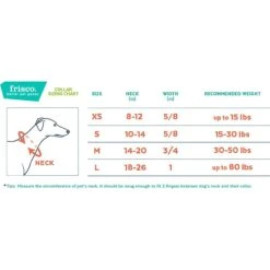 Frisco Outdoor Ultra Reflective Nylon Dog Collar & Frisco Outdoor Ultra Reflective Rope Leash With Padded Handle -PetSafe Kong Shop 319102 PT3. AC SS1800 V1631118388