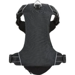 Frisco Outdoor Premium Ripstop Nylon Dog Harness With Pocket & Frisco Outdoor Nylon Reflective Comfort Padded Dog Collar -PetSafe Kong Shop 319304 PT2. AC SS1800 V1631157080