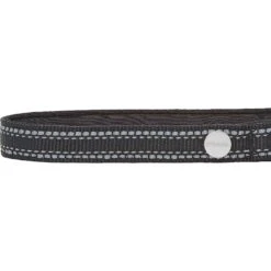 Frisco Outdoor Premium Ripstop Nylon Dog Harness With Pocket & Frisco Outdoor Nylon Reflective Comfort Padded Dog Collar -PetSafe Kong Shop 319304 PT6. AC SS1800 V1631158591