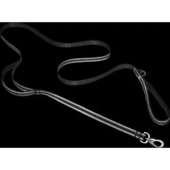 Frisco Outdoor Premium Ripstop Nylon Dog Harness With Pocket & Frisco Outdoor Nylon Reflective Comfort Padded Dog Leash -PetSafe Kong Shop 319306 PT7. AC SS1800 V1631141198