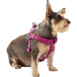 Frisco Outdoor Solid Textured Waterproof Stink Proof PVC Dog Harness & Frisco Outdoor Solid Textured Waterproof Stink Proof PVC Dog Leash -PetSafe Kong Shop 319356 PT2. AC SS1800 V1631150788