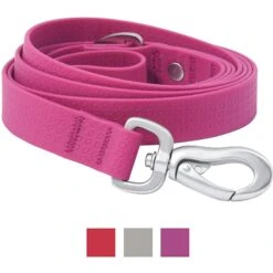 Frisco Outdoor Solid Textured Waterproof Stink Proof PVC Dog Harness & Frisco Outdoor Solid Textured Waterproof Stink Proof PVC Dog Leash -PetSafe Kong Shop 319356 PT5. AC SS1800 V1631147190