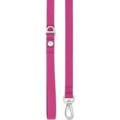 Frisco Outdoor Solid Textured Waterproof Stink Proof PVC Dog Harness & Frisco Outdoor Solid Textured Waterproof Stink Proof PVC Dog Leash -PetSafe Kong Shop 319356 PT6. AC SS1800 V1631160674