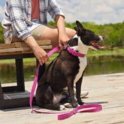 Frisco Outdoor Solid Textured Waterproof Stink Proof PVC Dog Harness & Frisco Outdoor Solid Textured Waterproof Stink Proof PVC Dog Leash -PetSafe Kong Shop 319356 PT7. AC SS1800 V1631141802