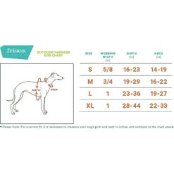 Frisco Outdoor Two Tone Waterproof Stinkproof PVC Dog Harness & Frisco Outdoor Two Tone Waterproof Stinkproof PVC Dog Harness -PetSafe Kong Shop 319396 PT4. AC SS1800 V1630617094