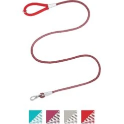 Frisco Outdoor Woven Jacquard Nylon Dog Collar & Frisco Outdoor Waterproof Stinkproof PVC Rope Leash -PetSafe Kong Shop 319466 PT5. AC SS1800 V1631143899