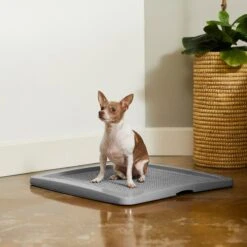 Frisco Training Pad Holder & Frisco Premium Dog Training & Potty Pads -PetSafe Kong Shop 319526 PT4. AC SS1800 V1630624305