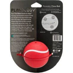Playology Scented Squeaky Chew Ball Dog Toy & Playology Scented Squeaky Chew Ball Dog Toy -PetSafe Kong Shop 319558 PT2. AC SS1800 V1630629125