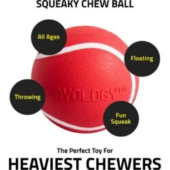Playology Scented Squeaky Chew Ball Dog Toy & Playology Scented Squeaky Chew Ball Dog Toy -PetSafe Kong Shop 319558 PT3. AC SS1800 V1630624279
