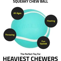 Playology Scented Squeaky Chew Ball Dog Toy & Playology Scented Squeaky Chew Ball Dog Toy -PetSafe Kong Shop 319558 PT7. AC SS1800 V1630620091