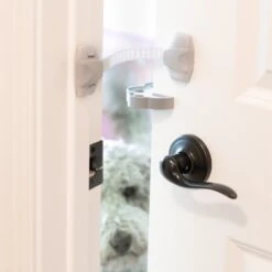 MyPet Safety Paws Mischief Minder Strap Locks For Dog & Cat 10 MyPet Safety Paws Mischief Minder Strap Locks For Dog & Cat -PetSafe Kong Shop 319753 PT4. AC SS1800 V1635257941