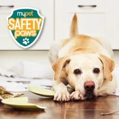 MyPet Safety Paws Mischief Minder Strap Locks For Dog & Cat 11 MyPet Safety Paws Mischief Minder Strap Locks For Dog & Cat -PetSafe Kong Shop 319753 PT6. AC SS1800 V1635257912