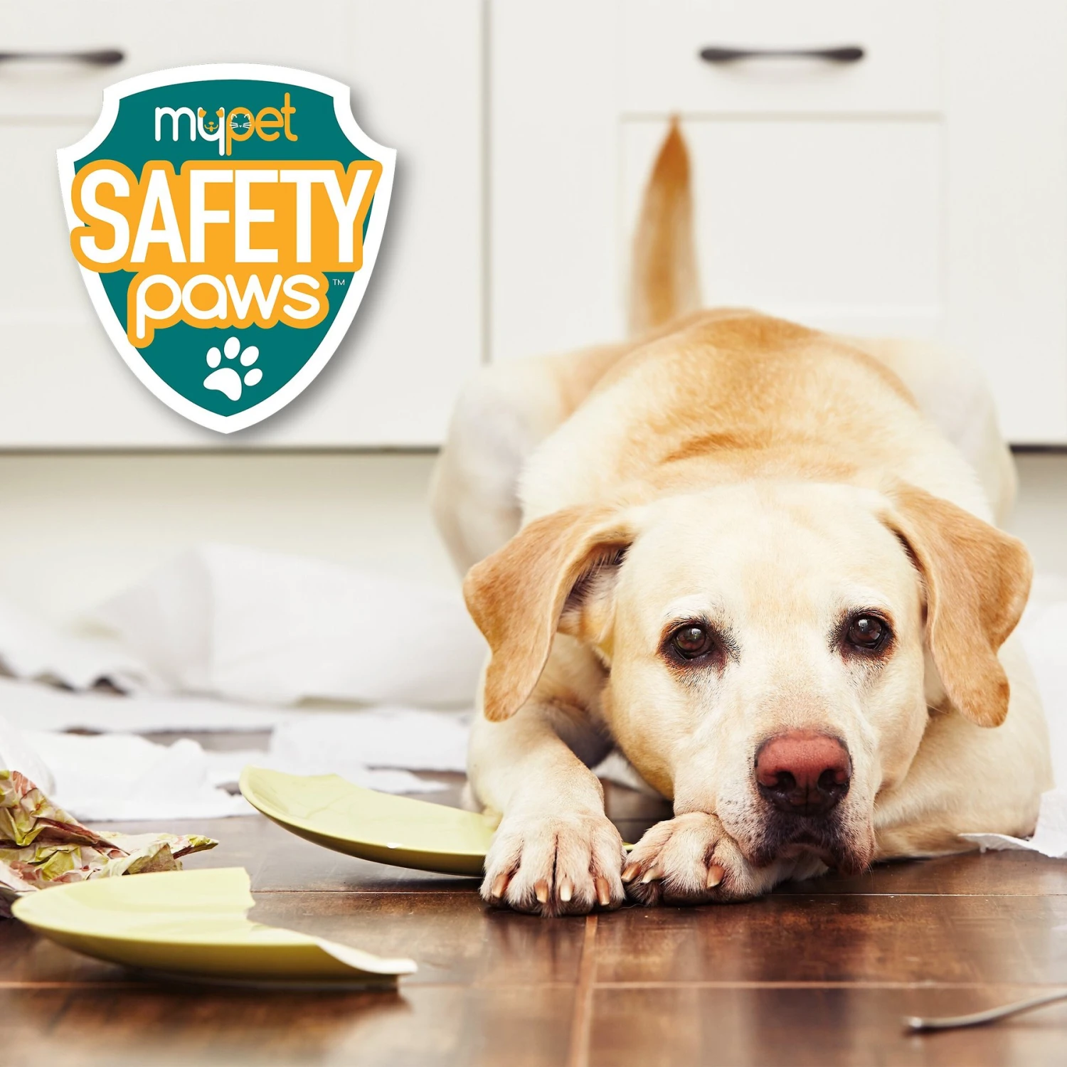 MyPet Safety Paws Mischief Minder Strap Locks For Dog & Cat 6 MyPet Safety Paws Mischief Minder Strap Locks For Dog & Cat - Image 6