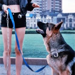 Petfon Smart Pet GPS Tracker Cover -PetSafe Kong Shop 321748 PT2. AC SS1800 V1632822096