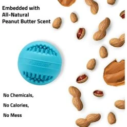 Playology All Natural Peanut Butter Scented Dental Chew Ball Dog Toy -PetSafe Kong Shop 321877 PT2. AC SS1800 V1629230182