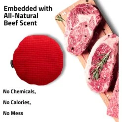 Playology All Natural Beef Scented Plush Crinkle Disc Dog Toy -PetSafe Kong Shop 321892 PT2. AC SS1800 V1629230194