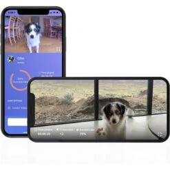 PupPod Enrichment Training & Gaming System Positive Reinforcement Puzzle Toy Dog Feeder & Mobile App -PetSafe Kong Shop 324411 PT6. AC SS1800 V1632793886