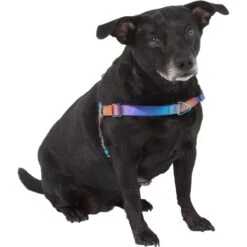 Frisco Purple Ombre Style Dog Harness 7 Frisco Purple Ombre Style Dog Harness -PetSafe Kong Shop 324526 PT2. AC SS1800 V1642519692