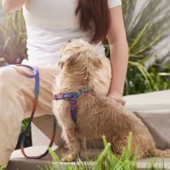 Frisco Purple Ombre Style Dog Harness 9 Frisco Purple Ombre Style Dog Harness -PetSafe Kong Shop 324526 PT4. AC SS1800 V1642518470