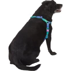 Frisco Green Ombre Style Dog Harness -PetSafe Kong Shop 324531 PT3. AC SS1800 V1642518631