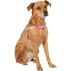 Frisco Pink Ombre Style Dog Harness 7 Frisco Pink Ombre Style Dog Harness -PetSafe Kong Shop 324537 PT2. AC SS1800 V1642519336