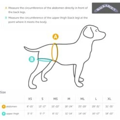 WALKABOUT Original Back End Harness, Black 11 WALKABOUT Original Back End Harness, Black -PetSafe Kong Shop 325479 PT5. AC SS1800 V1687375632