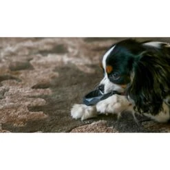 Sweet Paws Wearable Puppy Teether Stack Party Of 4 -PetSafe Kong Shop 325664 PT5. AC SS1800 V1635193017