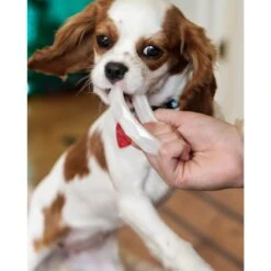 Sweet Paws Wearable Puppy Teether Stack Party Of 4 -PetSafe Kong Shop 325664 PT6. AC SS1800 V1635193596