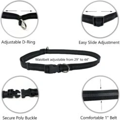 Pet Fit For Life Nylon Hands-Free Dog Leash, 54-in Long, 1-in Wide -PetSafe Kong Shop 326412 PT3. AC SS1800 V1630695990