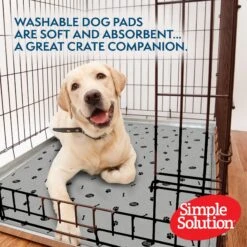 Simple Solution Washable Dog Pee Pads, 34x36-in, 2 Count -PetSafe Kong Shop 326823 PT2. AC SS1800 V1649482336