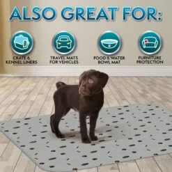 Simple Solution Washable Dog Pee Pads, 34x36-in, 2 Count -PetSafe Kong Shop 326823 PT5. AC SS1800 V1649482602