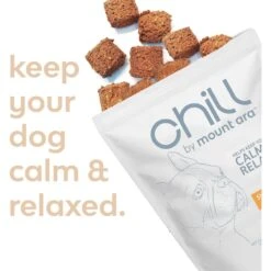 Mount Ara Chill Bites Sweet Potato Dog Treats, 4-oz -PetSafe Kong Shop 326967 PT4. AC SS1800 V1630704717