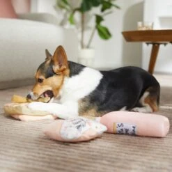 Frisco Mother's Day Gifts Plush Squeaky Dog Toy, 3 Count -PetSafe Kong Shop 327035 PT3. AC SS1800 V1646947993