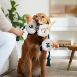 Frisco Mother's Day Gnomes Plush With Rope Squeaky Dog Toy -PetSafe Kong Shop 327037 PT3. AC SS1800 V1646948102