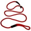 OmniPet Dog Slip Leash, Red