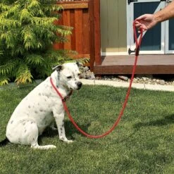 OmniPet Dog Slip Leash, Red -PetSafe Kong Shop 327469 PT4. AC SS1800 V1631646744