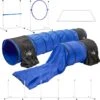 Better Sporting Dogs 7 Piece Deluxe Dog Agility Equipment Set