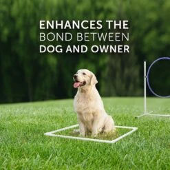 Better Sporting Dogs 7 Piece Deluxe Dog Agility Equipment Set -PetSafe Kong Shop 327723 PT7. AC SS1800 V1630707416