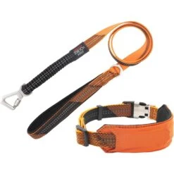 Pet Life Geo-prene 2-in-1 Shock Absorbing Neoprene Padded Reflective Dog Leash & Collar