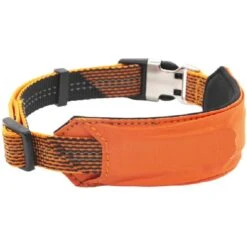 Pet Life Geo-prene 2-in-1 Shock Absorbing Neoprene Padded Reflective Dog Leash & Collar -PetSafe Kong Shop 328268 PT2. AC SS1800 V1631311020