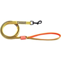 Touchdog Lumiglow 2-in-1 USB Charging LED Lighting Water-Resistant Dog Leash & Collar -PetSafe Kong Shop 328277 PT2. AC SS1800 V1631315511