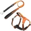 Pet Life Geo-prene 2-in-1 Shock Absorbing Neoprene Padded Reflective Dog Leash & Harness