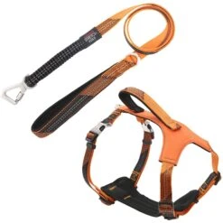 Pet Life Geo-prene 2-in-1 Shock Absorbing Neoprene Padded Reflective Dog Leash & Harness