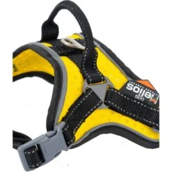 Dog Helios Scorpion Sporty High-Performance Free-Range Dog Harness -PetSafe Kong Shop 328332 PT2. AC SS1800 V1631315177