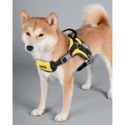 Dog Helios Scorpion Sporty High-Performance Free-Range Dog Harness -PetSafe Kong Shop 328332 PT4. AC SS1800 V1631311333