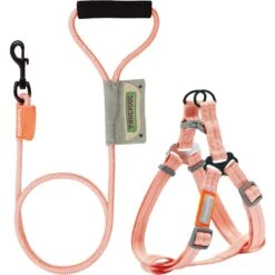 Touchdog Macaron 2-in-1 Durable Nylon Dog Harness & Leash