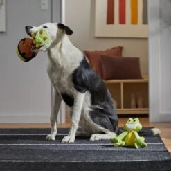 Disney Princess Tiana Plush Squeaky Dog Toy, 2 Count 5 Disney Princess Tiana Plush Squeaky Dog Toy, 2 Count -PetSafe Kong Shop 328765 PT3. AC SS1800 V1657718551